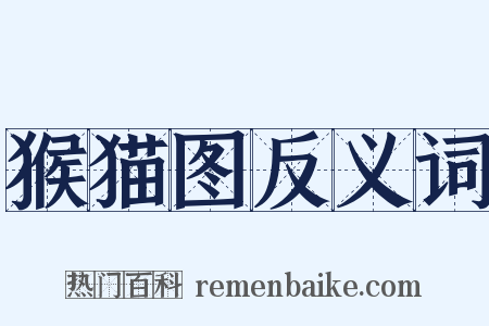 猴猫图反义词是什么意思的图片